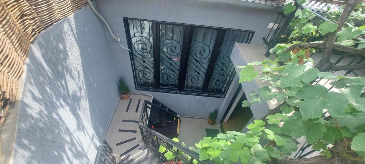 Linda Daire Tiflis